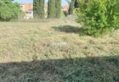 Urban land for sale on España, Cervià de les Garrigues, ref: TR223699 photo