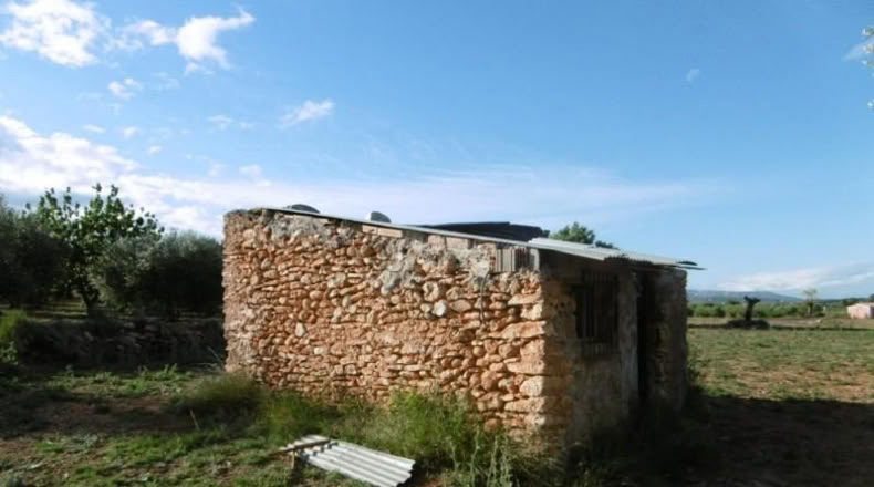Castellón - Vall d'Alba - 6707m2