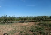 Finca rústica en venda a la España, la Vall d'Alba, ref.: TR303039 foto