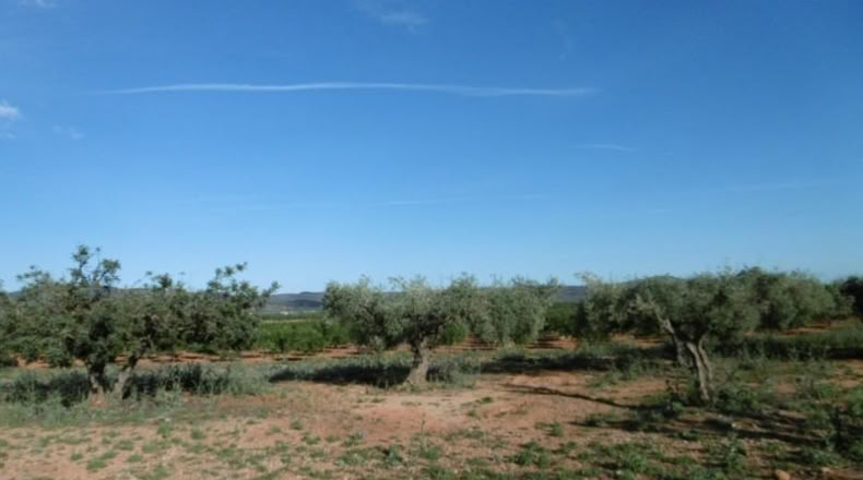 Castellón - Vall d'Alba - 6707m2