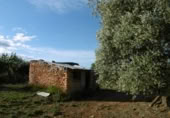 Finca rústica en venda a la España, la Vall d'Alba, ref.: TR303039 foto