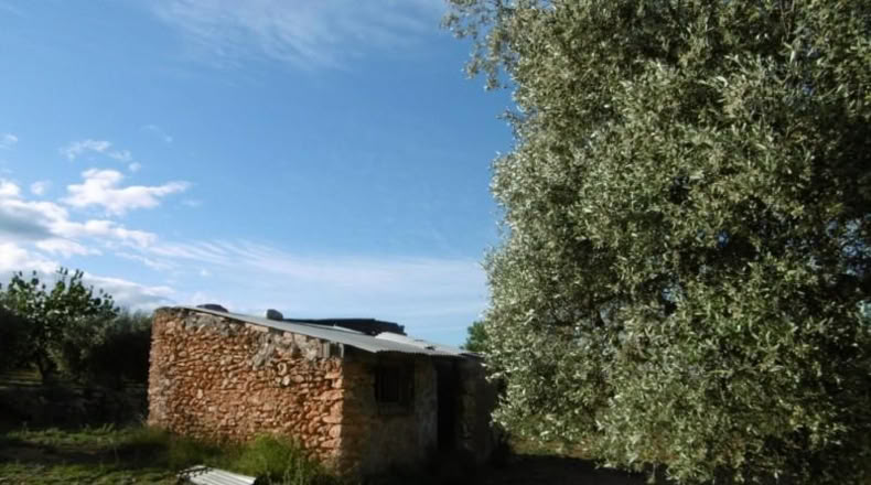 Castellón - Vall d'Alba - 6707m2