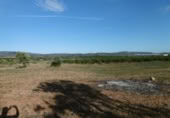 Finca rústica en venda a la España, la Vall d'Alba, ref.: TR303039 foto