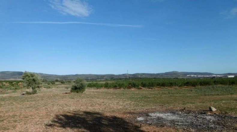 Castellón - Vall d'Alba - 6707m2