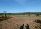 Finca rústica en venda a la España, la Vall d'Alba, ref.: TR303039 foto