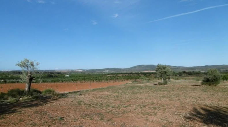 Castellón - Vall d'Alba - 6707m2