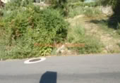 Detached villa with land for sale on España, O Porriño, ref: TR300611 photo
