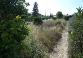 Parcel·la urbanitzable en venda a la España, Alguazas, ref.: TR114533 foto