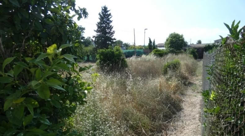 Múrcia - Alguazas - 1001m2