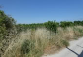 Parcel·la urbanitzable en venda a la España, Alguazas, ref.: TR114533 foto