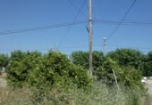 Parcel·la urbanitzable en venda a la España, Alguazas, ref.: TR114533 foto