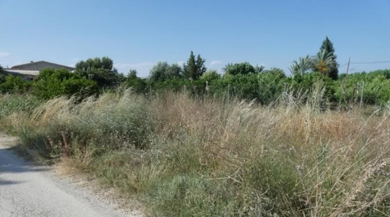 Múrcia - Alguazas - 1001m2