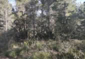 Terreno no urbanizable en venta en la España, Felanitx, ref: TR118620 foto