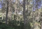 Terreno no urbanizable en venta en la España, Felanitx, ref: TR118620 foto