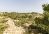 Terreno no urbanizable en venta en la España, Montserrat, ref: TR114140 foto