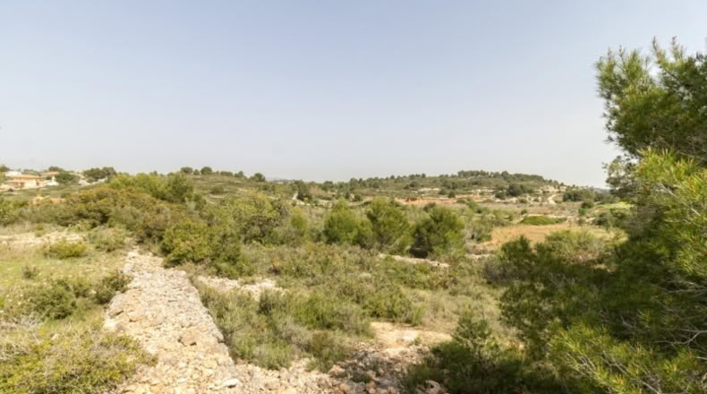 València - Monserrat - 2647m2
