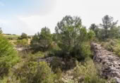 Terreno no urbanizable en venta en la España, Montserrat, ref: TR114140 foto