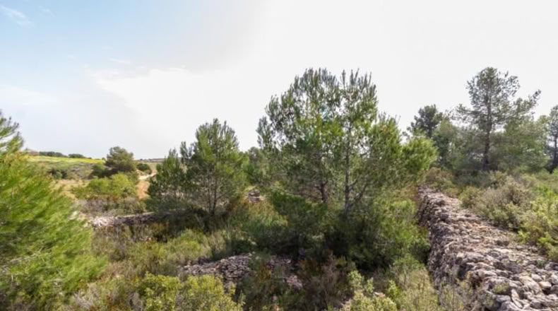 València - Monserrat - 2647m2