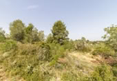 Terreno no urbanizable en venta en la España, Montserrat, ref: TR114140 foto