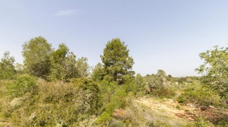 València - Monserrat - 2647m2