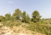 Terreno no urbanizable en venta en la España, Montserrat, ref: TR114140 foto