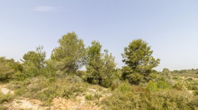València - Monserrat - 2647m2