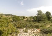 Terreno no urbanizable en venta en la España, Montserrat, ref: TR114140 foto