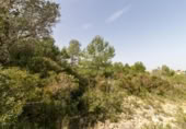 Terreno no urbanizable en venta en la España, Montserrat, ref: TR114140 foto