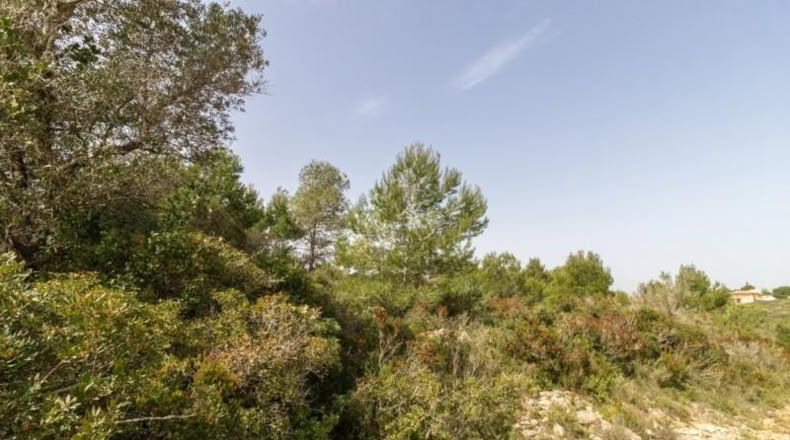 València - Monserrat - 2647m2