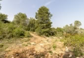 Terreno no urbanizable en venta en la España, Montserrat, ref: TR114140 foto