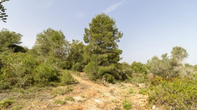 València - Monserrat - 2647m2