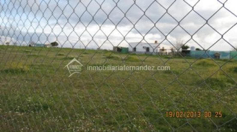 Cáceres - Sierra de Fuentes - 2000m2
