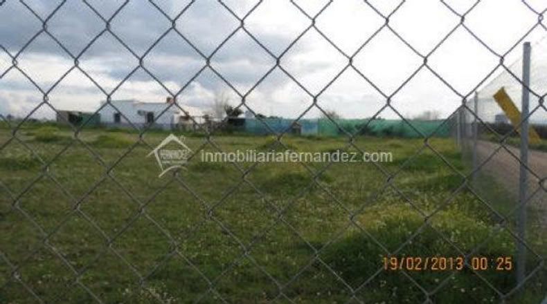 Cáceres - Sierra de Fuentes - 2000m2