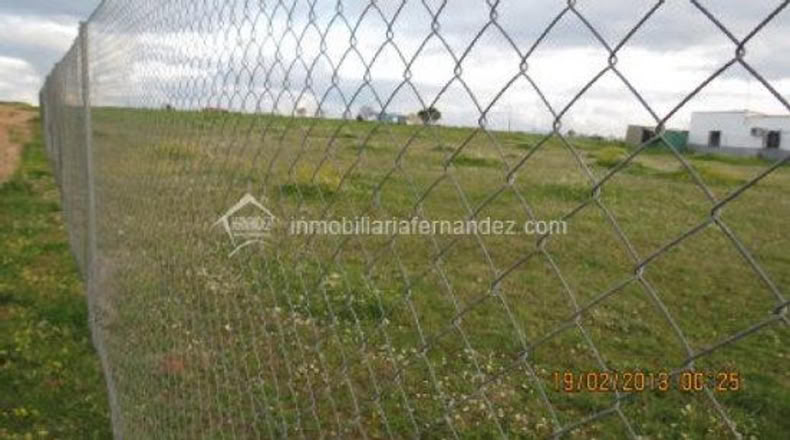 Cáceres - Sierra de Fuentes - 2000m2