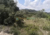 Non-developable land for sale on España, Castelló de Rugat, ref: TR316800 photo