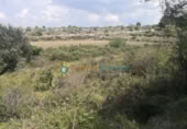 Non-developable land for sale on España, Castelló de Rugat, ref: TR316800 photo