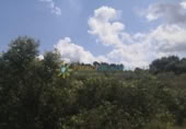 Non-developable land for sale on España, Castelló de Rugat, ref: TR316800 photo