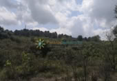 Non-developable land for sale on España, Castelló de Rugat, ref: TR316800 photo