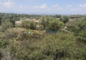 Non-developable land for sale on España, Castelló de Rugat, ref: TR316800 photo