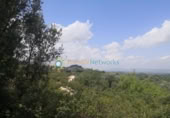 Non-developable land for sale on España, Castelló de Rugat, ref: TR316800 photo