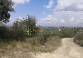 Non-developable land for sale on España, Castelló de Rugat, ref: TR316800 photo