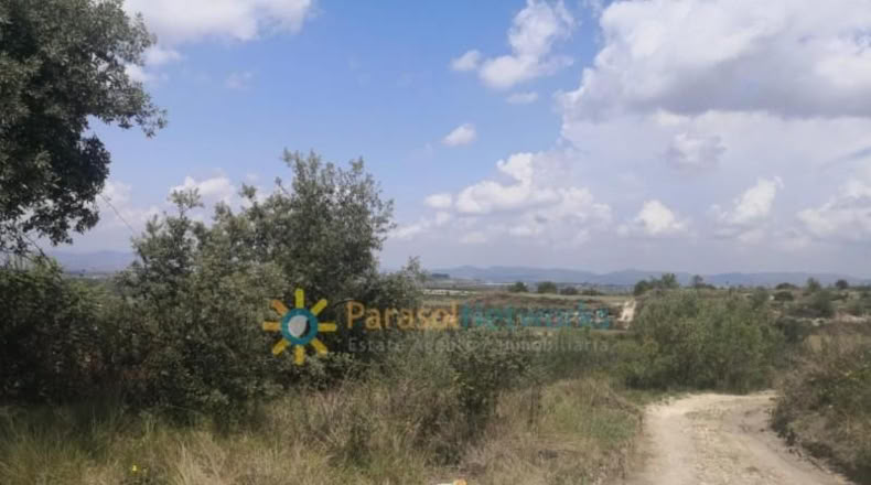 Valencia - Castellón de Rugat - 11928m2