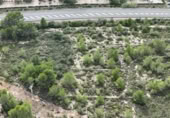 Terreny no urbanitzable en venda a la España, el Perelló, ref.: TR174857 foto