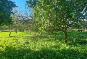 Sangenjo 457&nbsp;м²