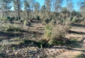Almonte 12600&nbsp;m²