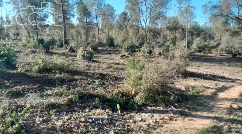 Huelva - Almonte - 20000m2