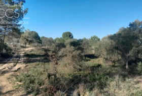 Almonte 12600&nbsp;m²