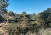 Terreno no urbanizable en venta en la España, Almonte, ref: TR129896 foto
