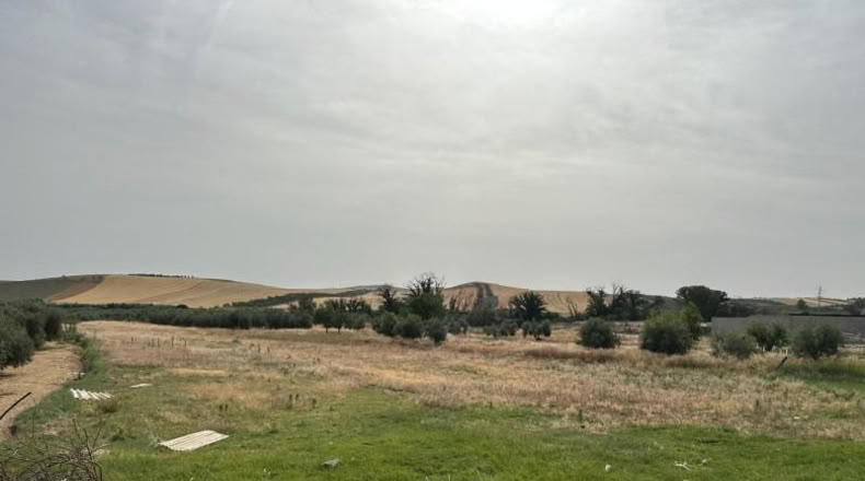 Granada - Chimeneas - 1586m2