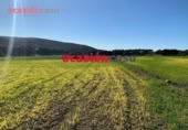 Non-developable land for sale on España, Belmez, ref: TR254798 photo